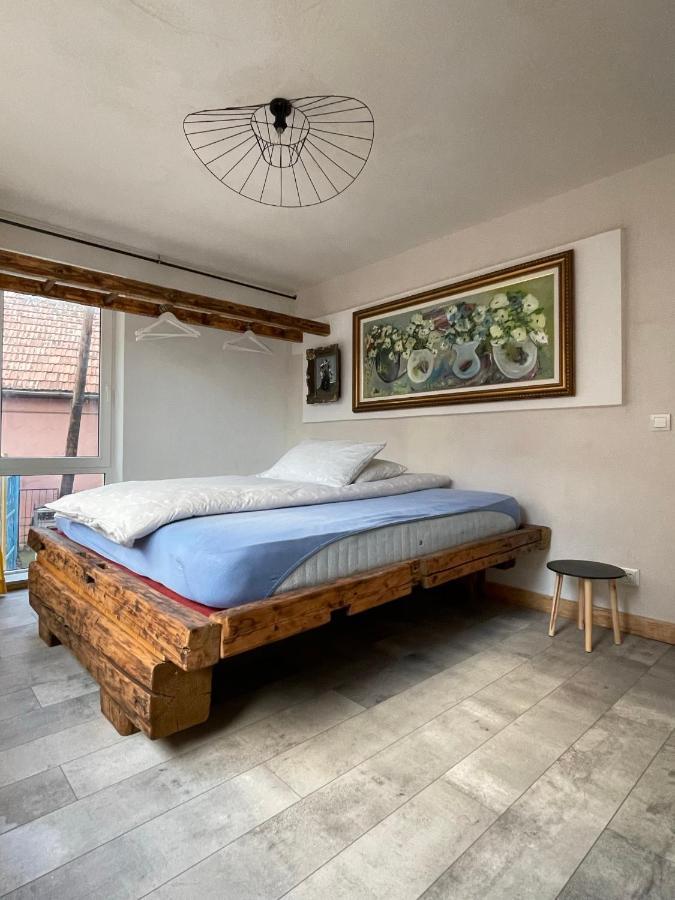 Art Apartments Govora Cluj エクステリア 写真