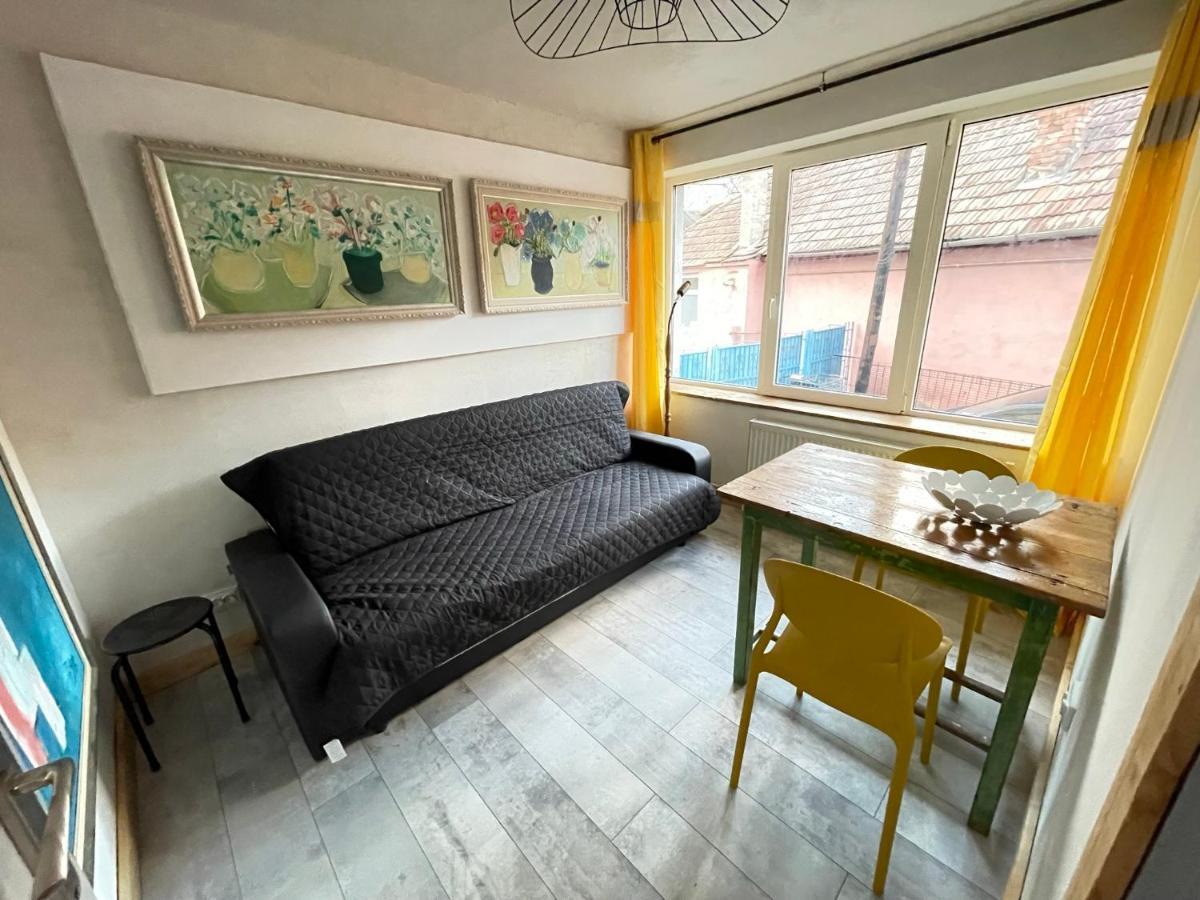 Art Apartments Govora Cluj エクステリア 写真